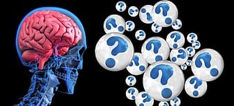Book Review: Brain Friendly Grammar by Rachel Paling