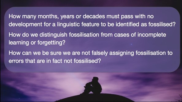 Fossilisation, Reflection & Learning Strategies